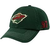 Twins Enterprise Minnesota Wild Green Franchise Fitted Hat