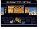 Solomon's Temple Cutaway Wall Chart-Laminated (Exclusive! Solomon's Temple)