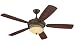Monte Carlo 5ED56WAD Edwardian, 56-Inch 5-Blade Outdoor Ceiling Fan with Light Kit, Walnut Motor Finish and Walnut ABS with Grain Blades