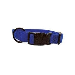Hamilton "Fits All" 3/8" Adjustable Nylon Dog Collar, Blue, X-Small (7-12 in)