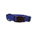 Hamilton "Fits All" 3/8" Adjustable Nylon Dog Collar, Blue, X-Small (7-12 in)
