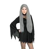 Long Grey Wig 28 inch, One Size fits Most