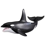 RSPCA Male Killer WhaleIMAGE