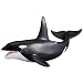 RSPCA Male Killer Whale_s-1