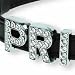 Dickens' Closet Create-a-Collar Crystal C 10mm Charm