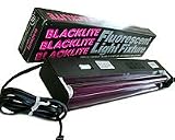 Blacklight Florcent Fixture
