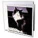 Cats - Tuxedo Cat - Greeting Cards-12 Greeting Cards with envelopes