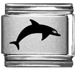 Clearly Charming Dolphin Laser Italian Charm