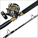 Sealine SLD30 2-Speed Lever Drag Reel--6360T 6' 30-80lb. T Series Custom Power Stick Stand-Up Combo