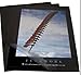 Polyfocus Satin Laminate Sheets (10)