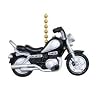 Motorcycle Bike Cycle Biker Hog Ceiling Fan Light Pull Chain