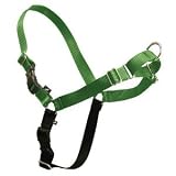 Premier Eco Easy Walk Dog Harness and Leash