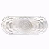 Oblong Sealed Back-Up Light