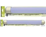 G E Lighting #12263 FBS25GS GE33W Plant BrightStick