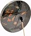 Remo 22" Ocean Drum, Fish Design Head