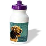 Dogs Airedale - Airedale Terrier - Water Bottles