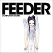 Comfort in Sound [Special Edition CD + DVD]
