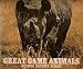 Great Game Animals Of The World