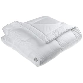 Royal Velvet Grandeur 370-Thread-Count Hungarian White Goose Down Comforter