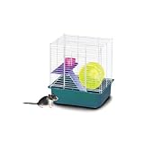 Pet Supplies : My First Hamster Home - Two Story