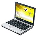 Toshiba Satellite U305-S5077 - P T2080 / 1.73 GHz - RAM 1 GB - HDD 160 GB - DVD?RW (?R DL) / DVD-RAM - GMA 950 - WLAN : 802.11b/g - Vista Home Premium - 13.3" Widescreen TFT 1280 x 800 ( WXGA ) TruBrite - camera - titanium silver, onyx blue metallic