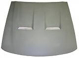 03-04 FORD MUSTANG HOOD, Cobra Model (2003 03 2004 04) F130114 2R3Z16612AA