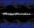 Microfiber Blanket/Throw Harley-Davidson Script Flames