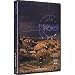 The Road DVD 000 by Climbing