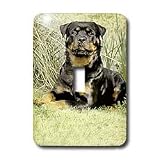 Dogs Rottweiler - Rottweiler - Light Switch Covers - single toggle switch