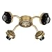 316OKuj3MNL. SL75  Schoolhouse Ceiling Fan Light Kit, 9 Antique Brass