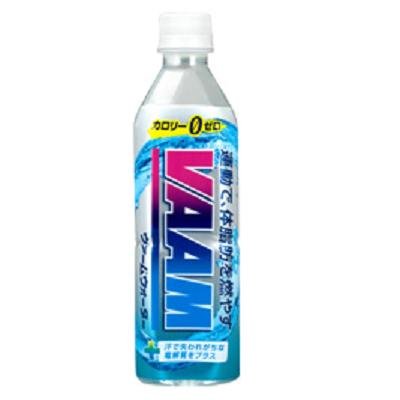 明治乳業 VAAM(ヴァーム)ウォーター ペットボトル 500ml x 48本