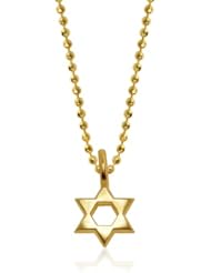 Alex Woo "Mini Additions" 14k Yellow Gold Star of David Pendant Necklace, 16"
