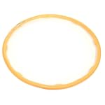 Digital Fitness Hoola Hoop