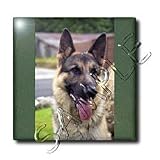 Dogs German Shepherd - German Shepherd Portrait - Tiles