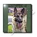 Dogs German Shepherd - German Shepherd Portrait - Tiles