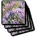 Wild Onion Flowers - Set Of 4 Ceramic Tile Coasters