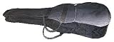 Musical Instruments : Guitar Carrying Bag