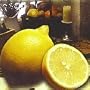 Italian Lemon Tree Five Gallon