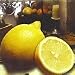 Semi Dwarf Italian Lemon Tree Five Gallon