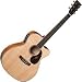 JC-16ME Aura Acoustic Electric Guitar