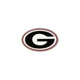 Georgia Bulldogs Black G Pewter Hitch Cover