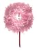 pink boa wreath - indoor/outdoor