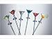 Kitchen & Housewares : Prodyne Colored Cocktail Picks, Set of 6