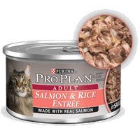 Pro Plan Canned Cat Food, Adult Salmon and Rice 