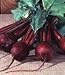 Organic Detroit Dark Red Beet 400 Seeds