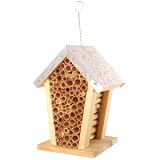 Honey Bee Nest