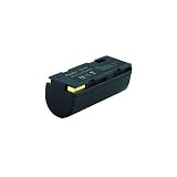 Ricoh Caplio RR1 Replacement Battery (DQ-RP80)