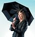 Windproof Umbrella