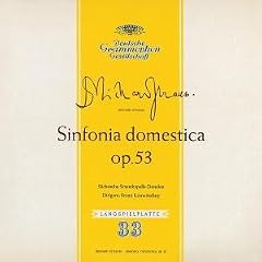 Sinfonia Domestica