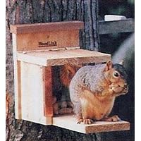 Squirrel Feeder: Box